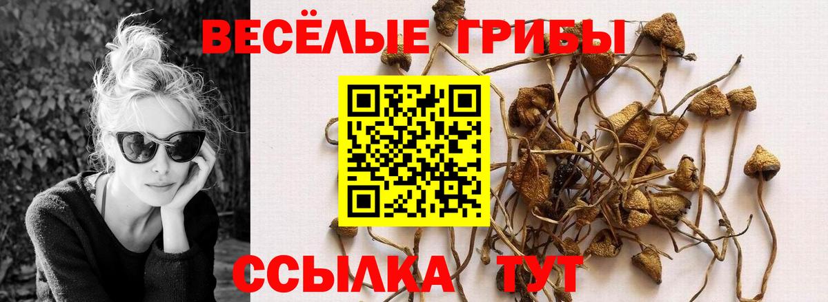 Галлюциногенные грибы GOLDEN TEACHER  наркота  Ханты-Мансийск  Вход с VPN 